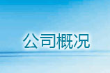 公司概況